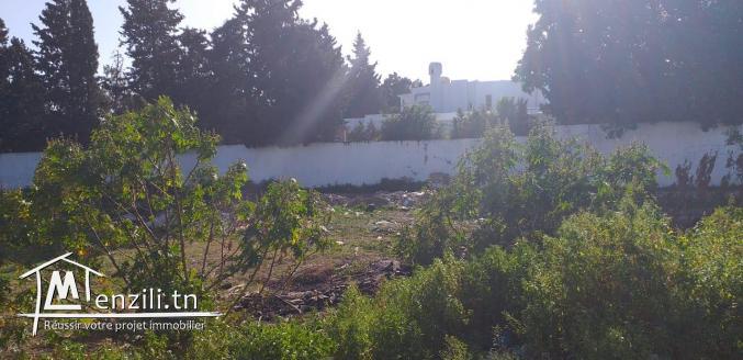 un superbe terrain de 800 m2