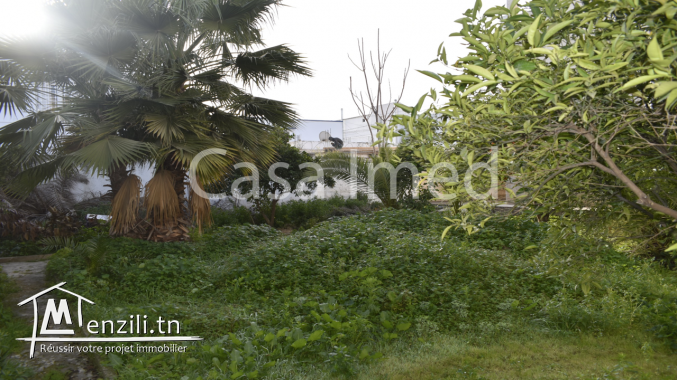 un superbe terrain de 446 m2  situé a bardo