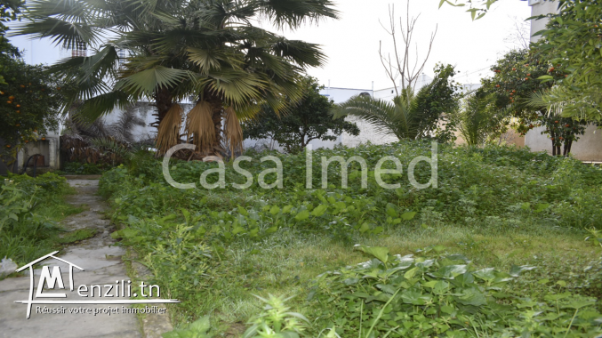 un superbe terrain de 446 m2  situé a bardo