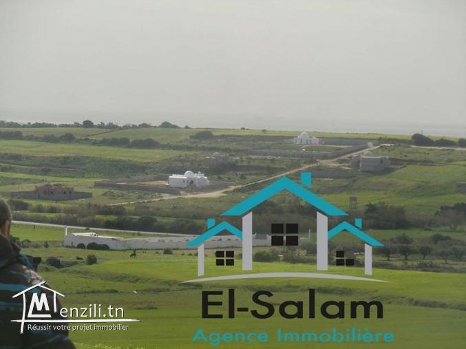 12000M2 sur la route goudronné vu de mer