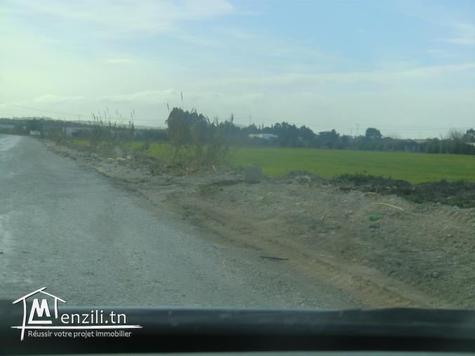 15000m2 avec un puits l'eau electricité 200m a  la route goudronné