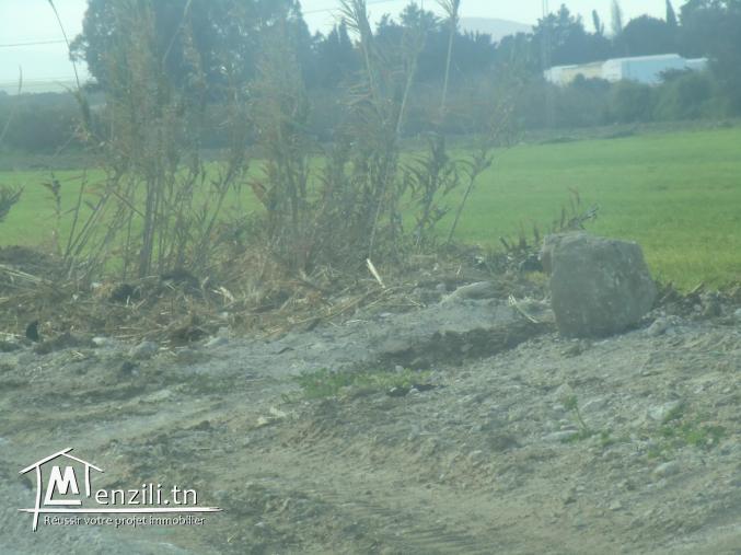 15000m2 avec un puits l'eau electricité 200m a  la route goudronné