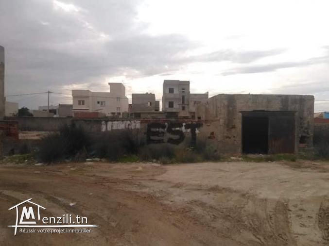 terrain a raoued 1     450m2