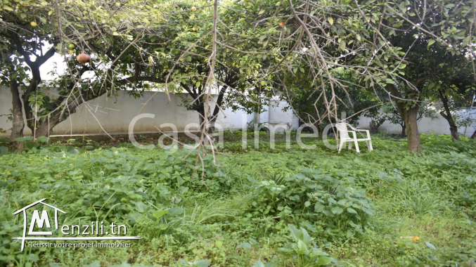 un beau terrain à bardo -beb saadoun