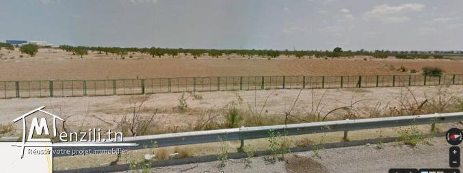 terrain à manzel hayet, Monastir de 6 Hectar à vendre