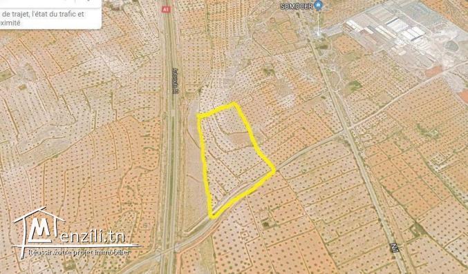 terrain à manzel hayet, Monastir de 6 Hectar à vendre