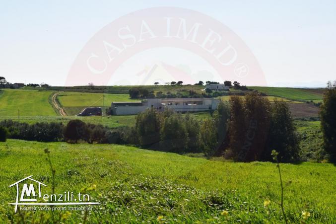 un beau terrain à prix choc
