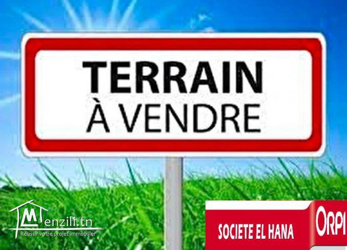 terrain à bas prix à tormos