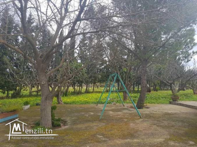 Ferme LA PERGOLA (Réf: T1079)