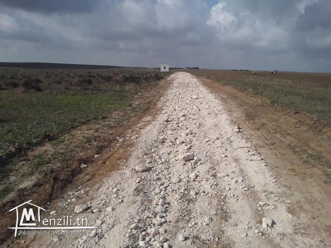 Terrain avec Titre bleu