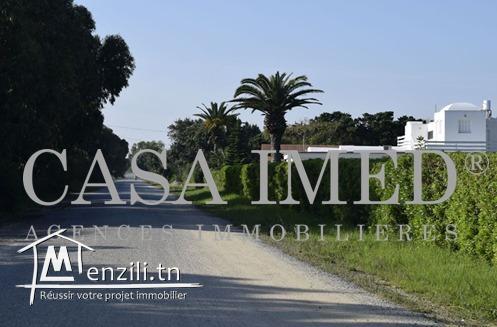 terrain de 300 m² a kelibia