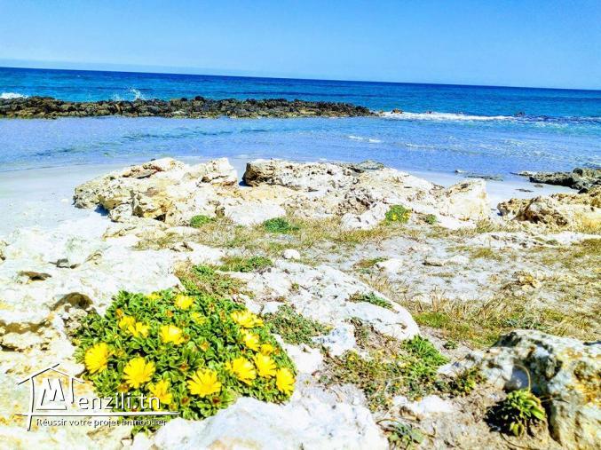 Terrain à 200 mètres du plage !