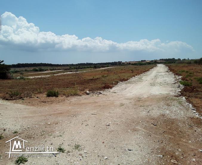 Terrain 1000m² à 40.000 dt : El_Haouaria