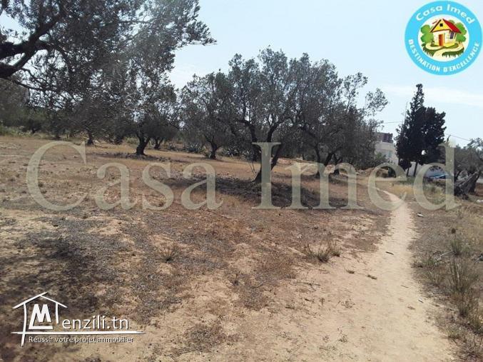 Une très bonne affaire de 650 m²