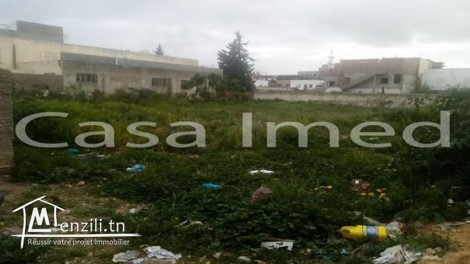 un terrain extraordinaire à la marsa