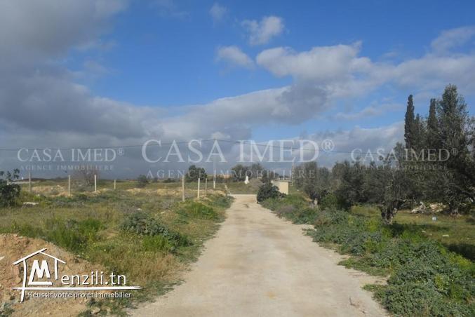 terrain à manaret el hammamet