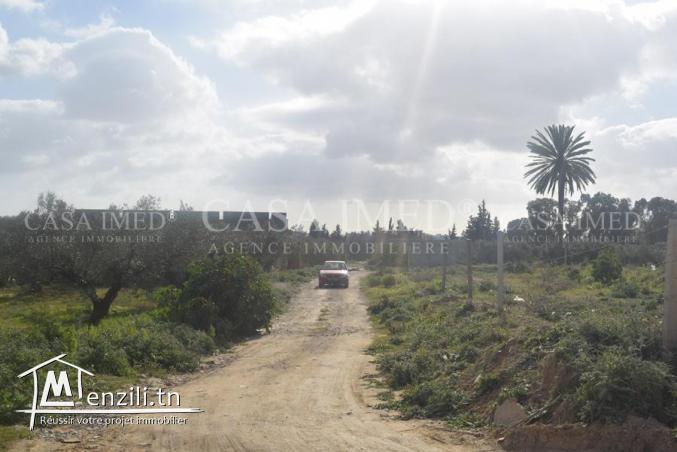 terrain à manaret el hammamet
