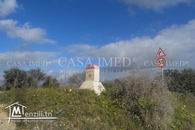 terrain à manaret el hammamet