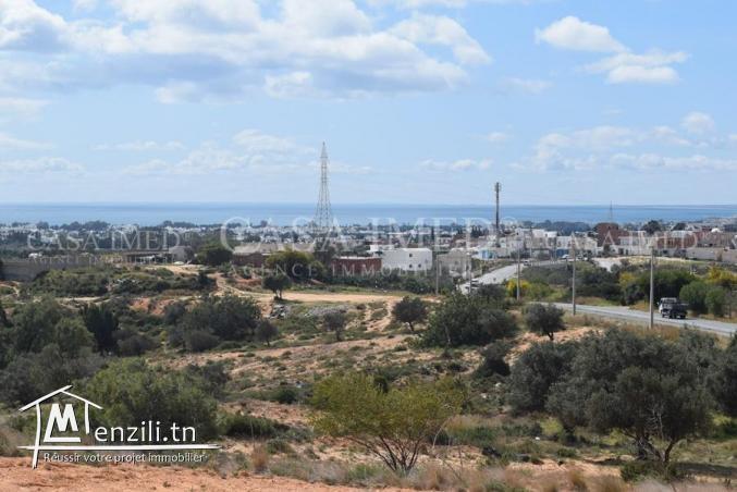 terrain terrain de 600 m2