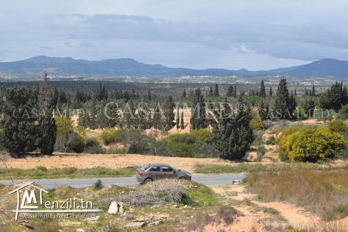 terrain terrain de 600 m2