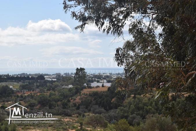 terrain terrain de 600 m2