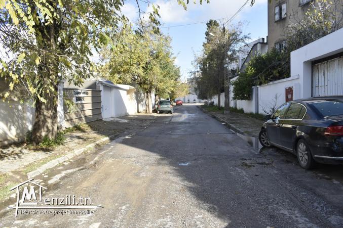 un beau terrain de 366 m2 