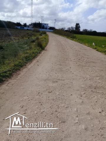 terrain en plein verdure
