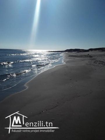 terrain vue mer à kerkouane de 275 m2