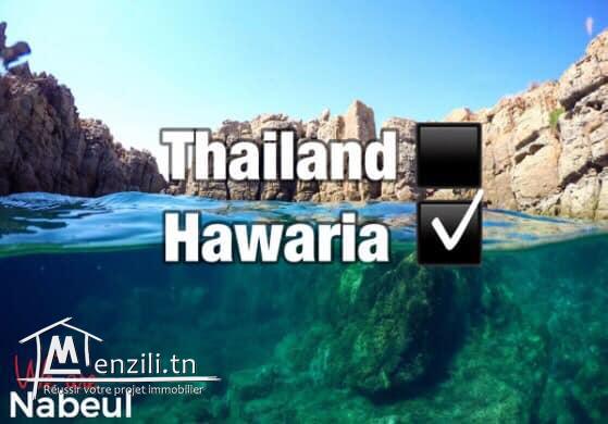 terrain à haouaria de 300 m2