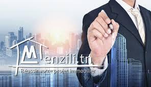 maisoon et 2 appartements à vendre