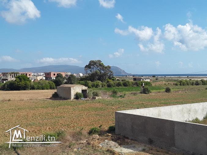 terrain a dar allouch prés de la plage