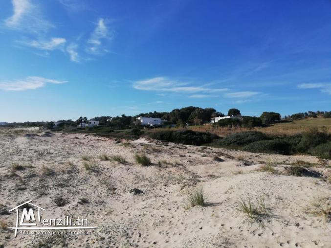 terrain a el haouaria a 800 m de la plage