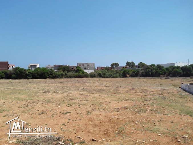 terrain a kélibia a centre ville prés de toutes commodités