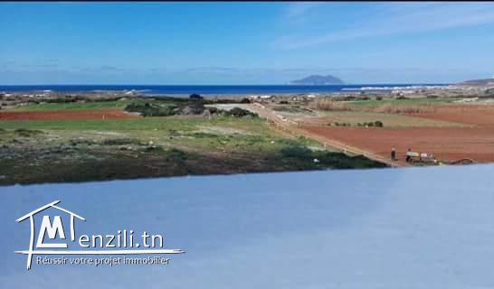 Terrain pres de la plage d'El Haouaria de 2min a pieds