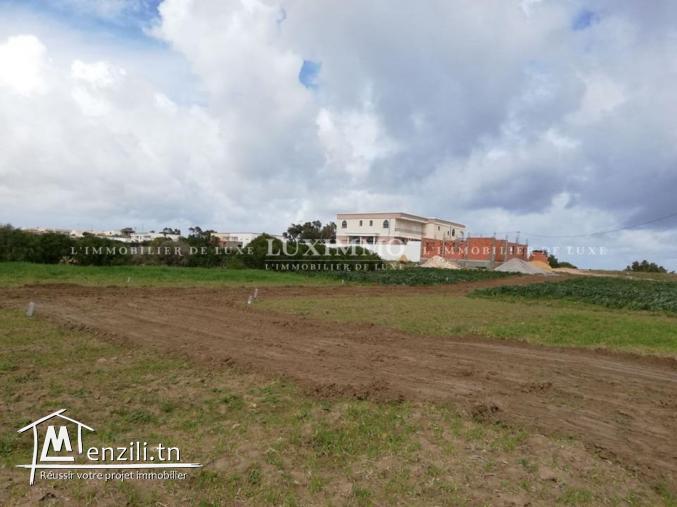 فرصة في كركوان / قليبية  وخلص على عام