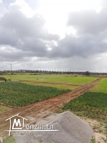 فرصة في كركوان / قليبية  وخلص على عام