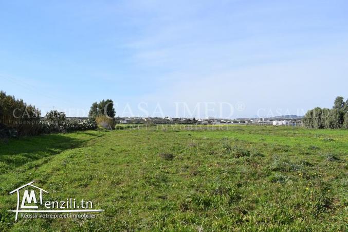 terrain de 1500 m² a vendre