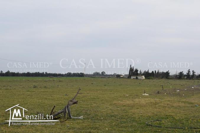 terrain a vendre de 500 m²