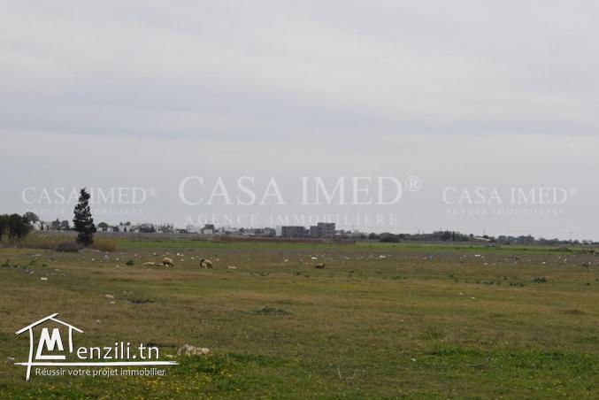 terrain a vendre de 500 m²