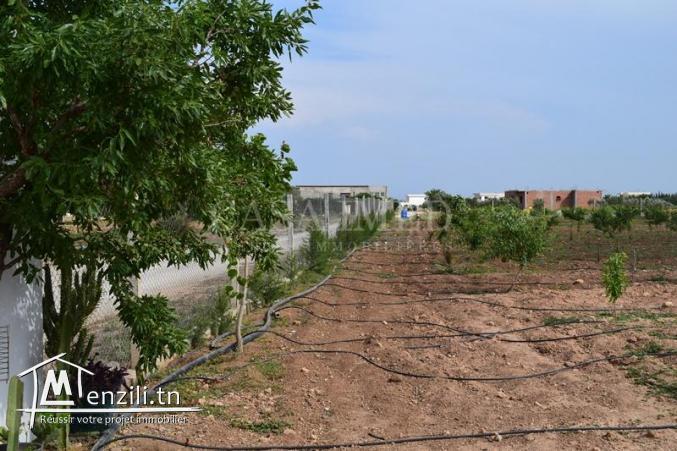 ferme a vendre de 10000 m2