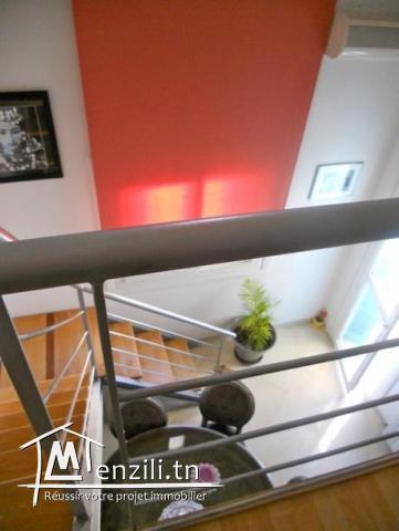 Appartement JANA (Réf: V427)