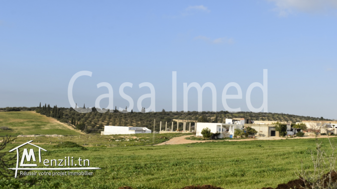 des beaux terrains a cité el mnihla