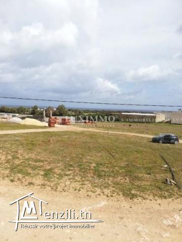 terrain a kerkouene / kélibia