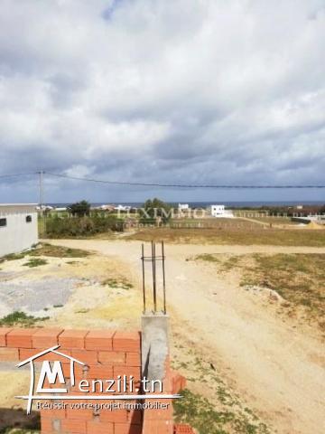 terrain a kerkouene / kélibia