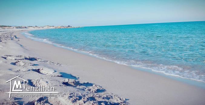 terrain a kerkouene / kélibia