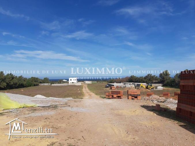 terrain a kerkouene / kélibia