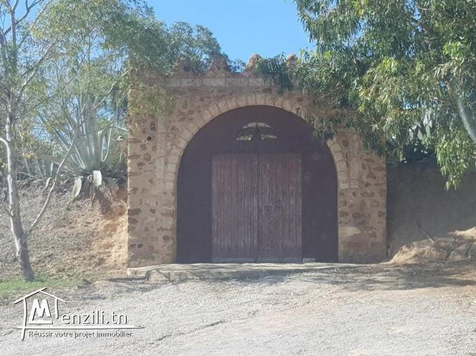 Complexe EL DOUAR (Réf: V998)