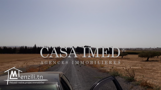 Des superbe terrains à mornaguia