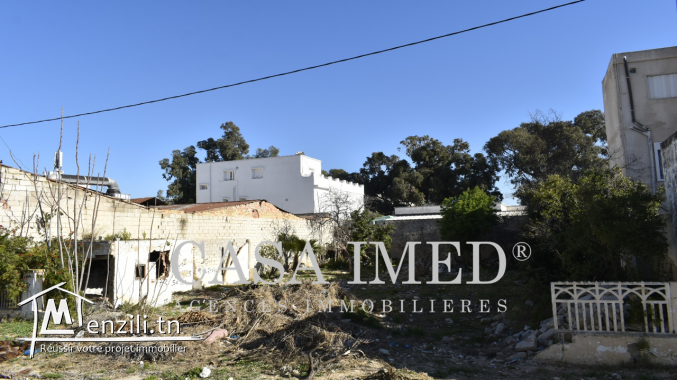 un superbe terrain de 509 m²  a bardo