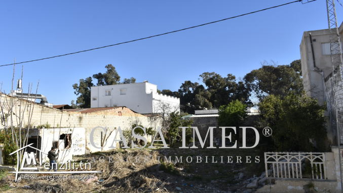 un superbe terrain de 509 m²  a bardo